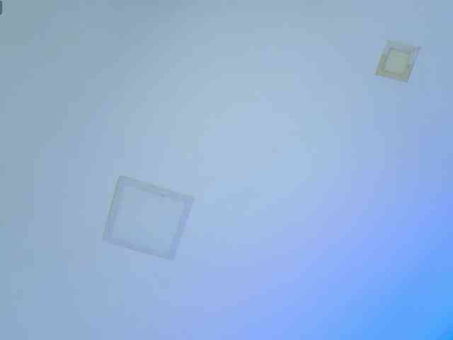 arianamonroee webcam