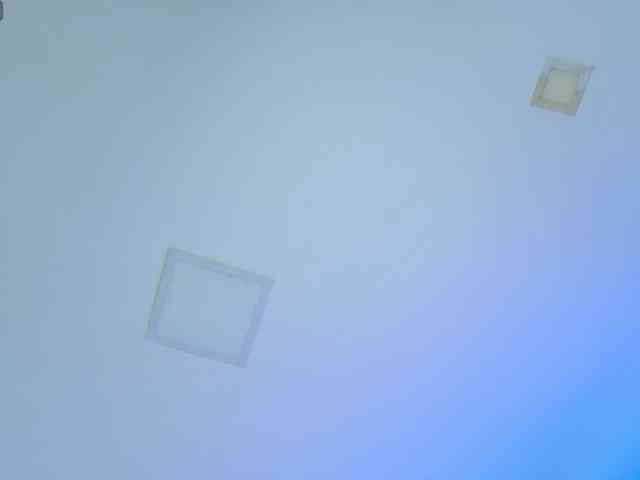 arianamonroee webcam