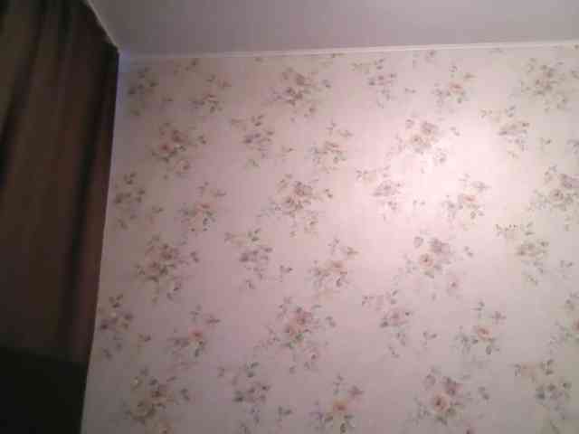 Vedmochka-1 webcam