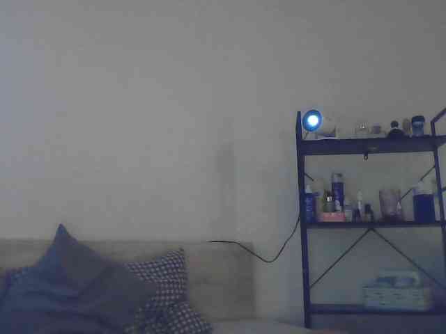 ctrlalt webcam