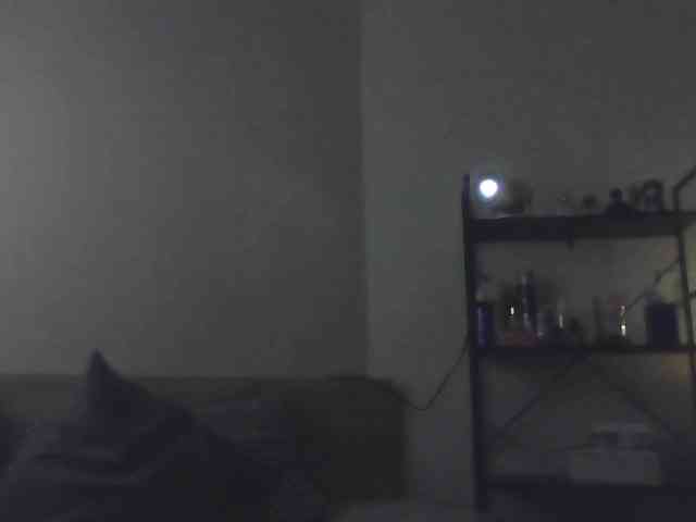 ctrlalt webcam