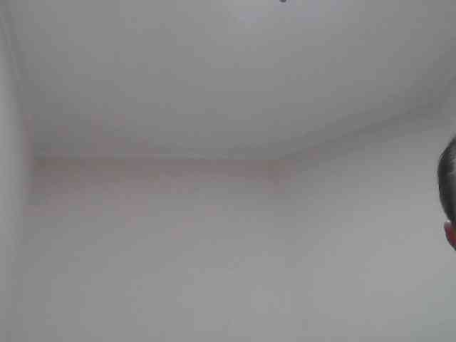 ctrlalt webcam