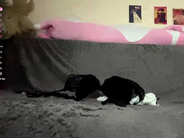 BarrieMastromarino live cam on BongaCams
