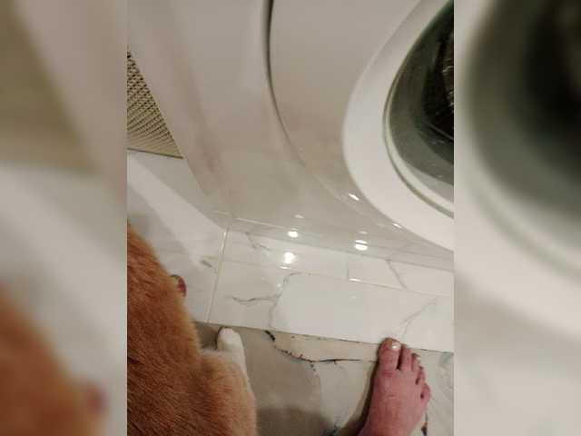 Tanecka live cam preview