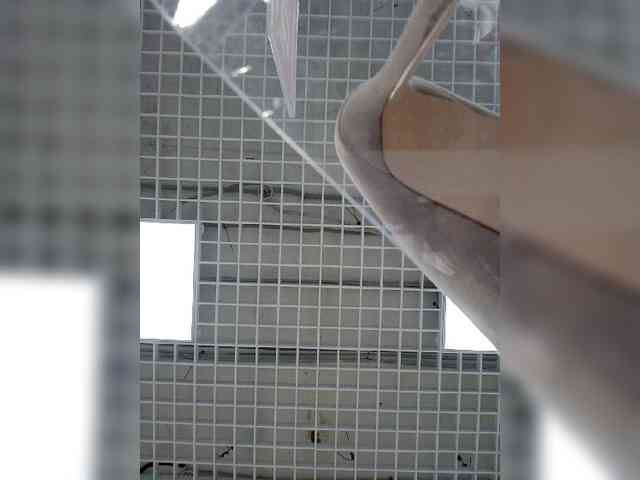 Tanecka webcam