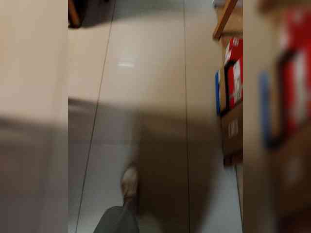 Tanecka webcam