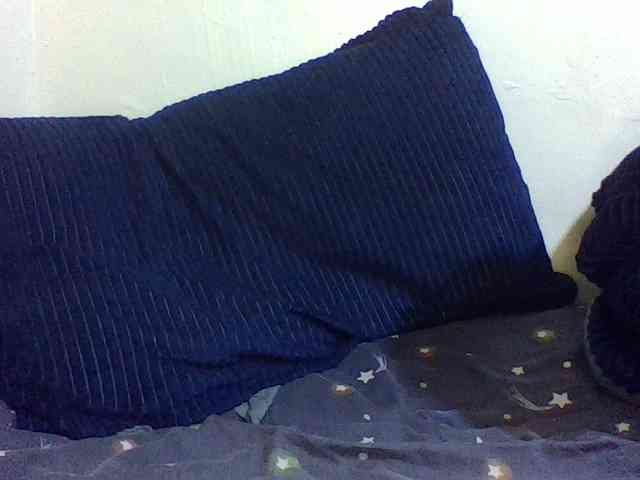 queenT webcam