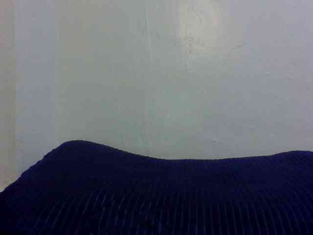 queenT webcam