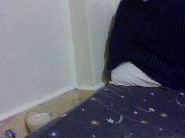queenT webcam