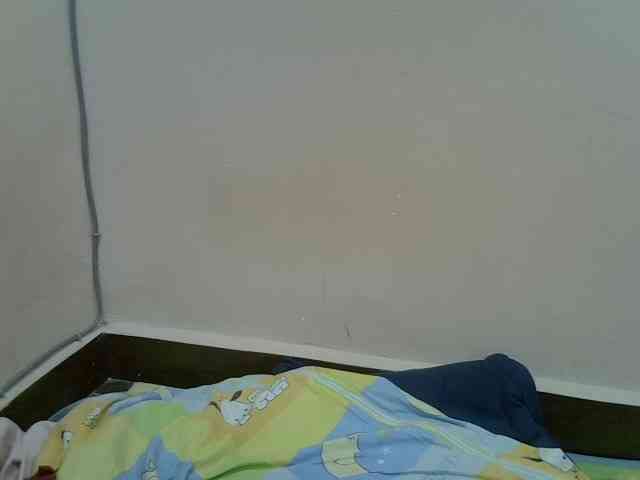 Aryah webcam