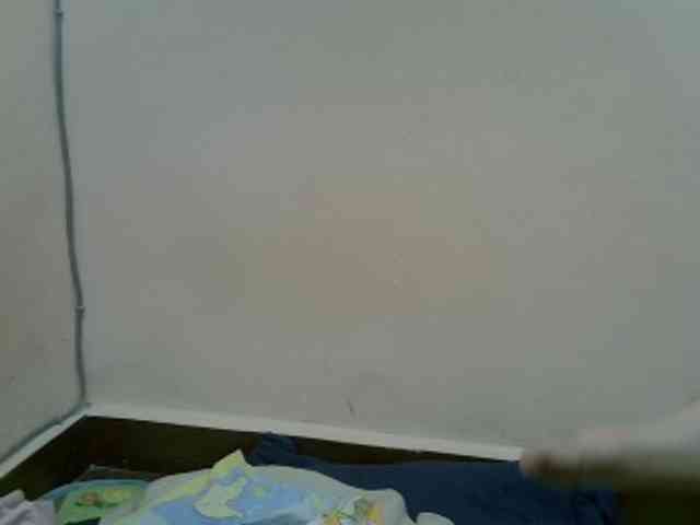 Aryah webcam