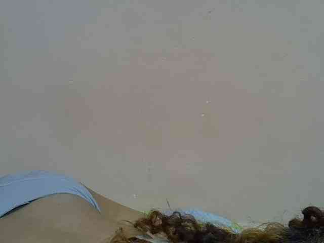 Aryah webcam