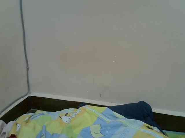Aryah webcam