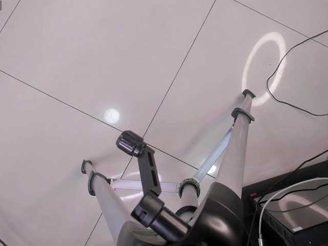 Thomamees live cam preview