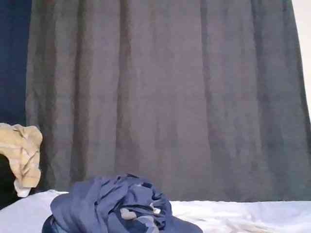 Pretty-vee webcam