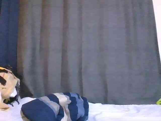 Pretty-vee webcam