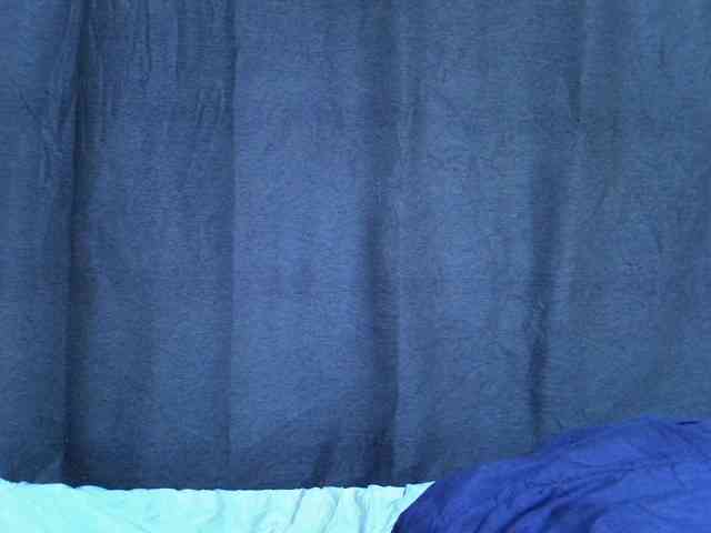 Pretty-vee webcam