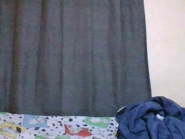 Pretty-vee webcam