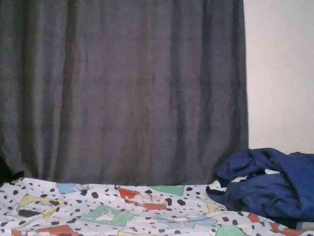 Pretty-vee webcam