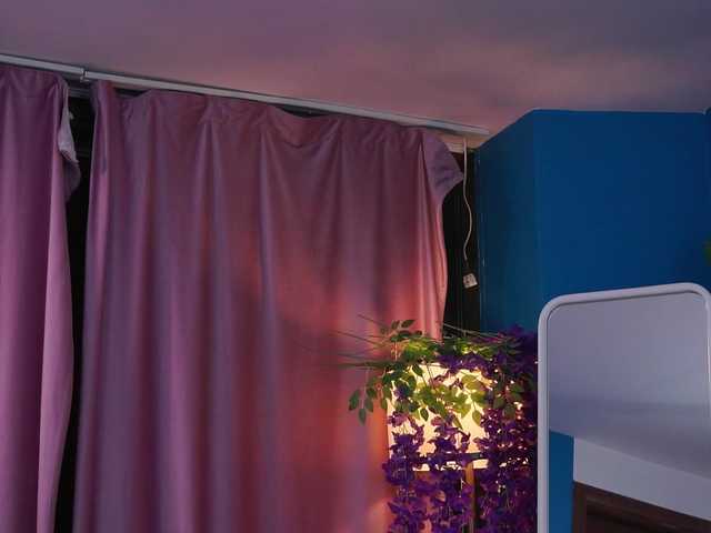 ZairaMonet live cam on BongaCams