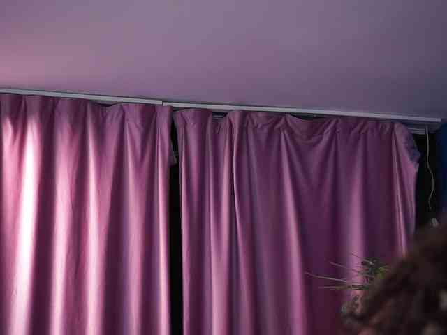 ZairaMonet webcam