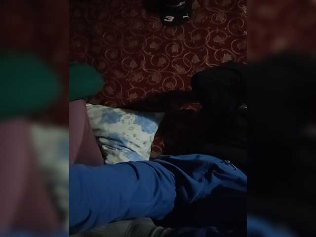 ASHIKVIKUSH