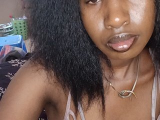 Sassynova2