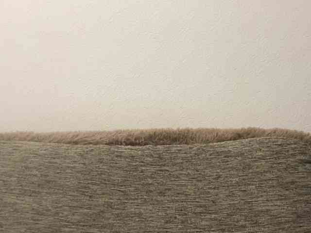 EsterGreenley webcam