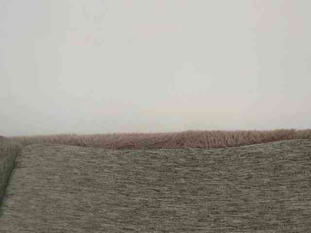 EsterGreenley webcam