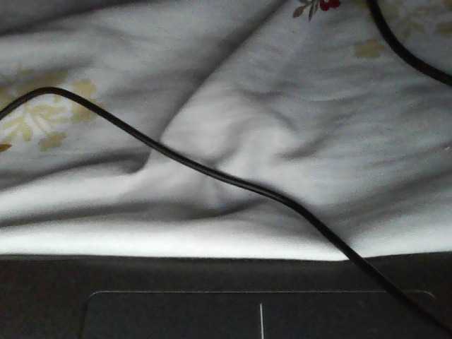 ecstasyxo live cam on BongaCams