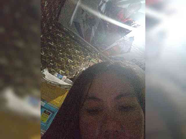 Lily351 webcam