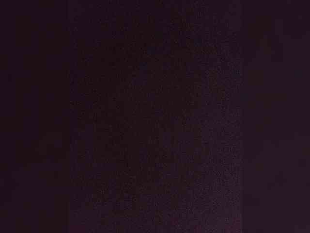 Lily351 webcam
