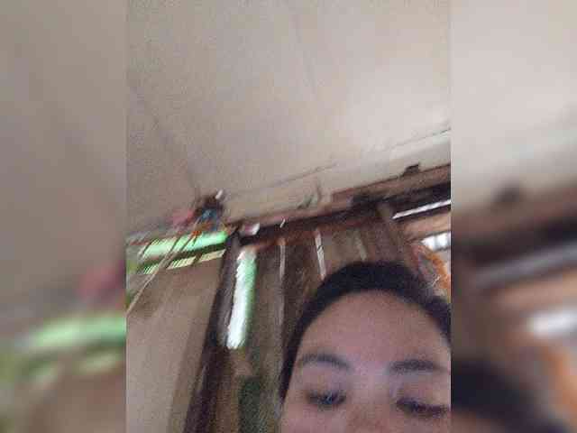 Lily351 webcam