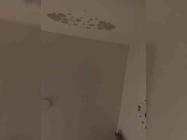 valeri-blake1 webcam