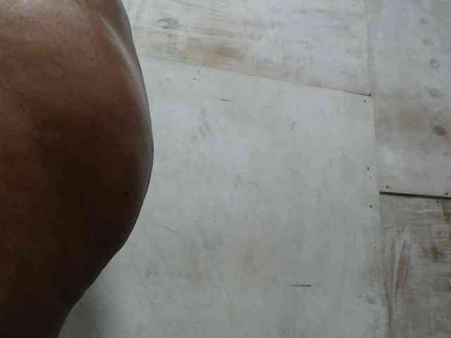 MagicAssx webcam