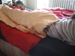 LilyLuxeXO