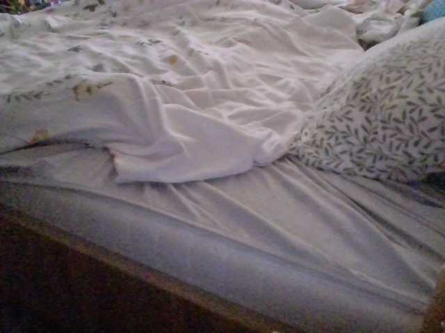 LilyLuxeXO
