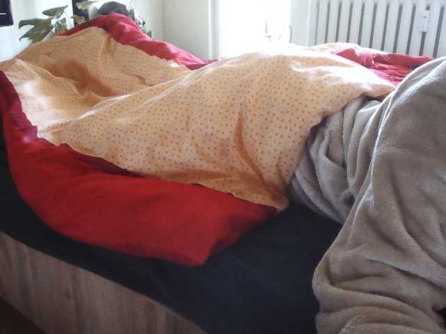 LilyLuxeXO