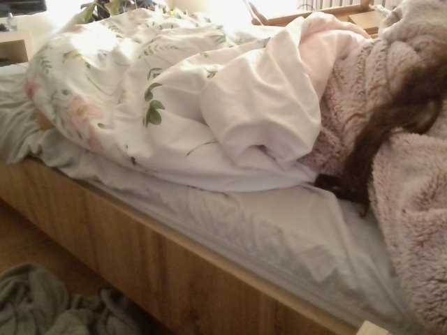LilyLuxeXO