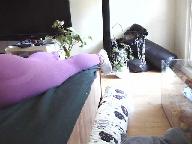LilyLuxeXO