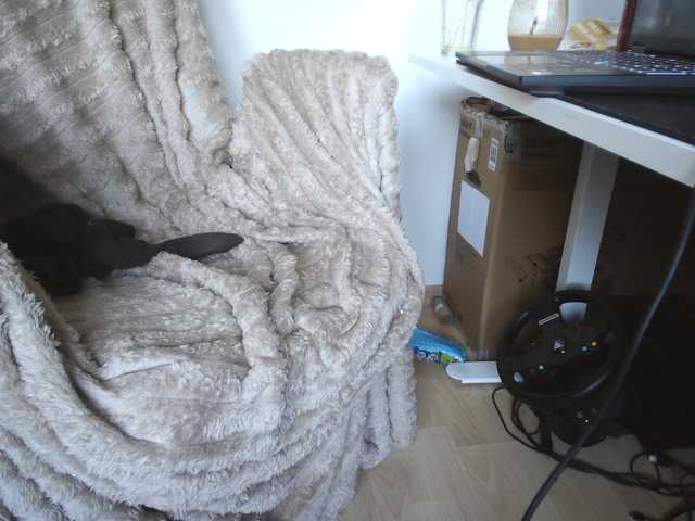 LilyLuxeXO
