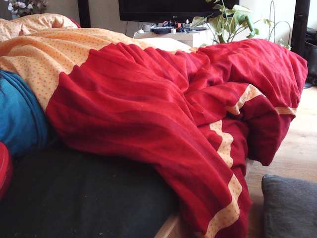 LilyLuxeXO