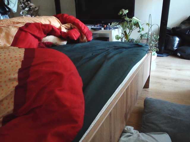LilyLuxeXO live cam preview