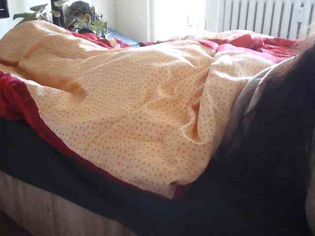 LilyLuxeXO