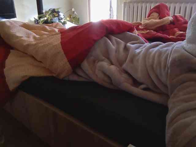 LilyLuxeXO