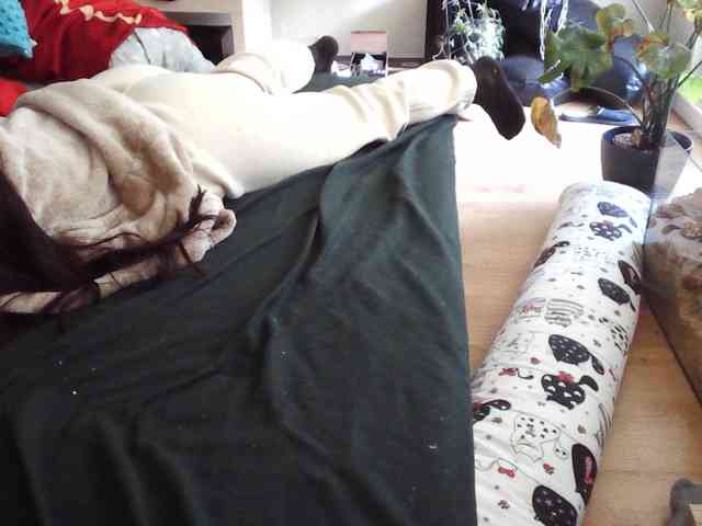 LilyLuxeXO