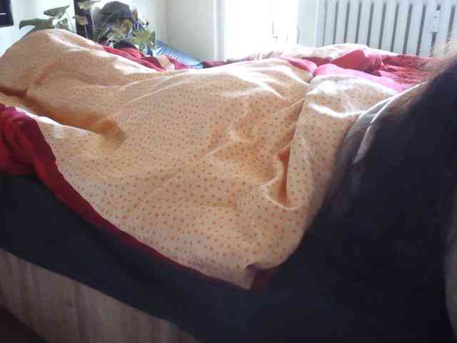 LilyLuxeXO