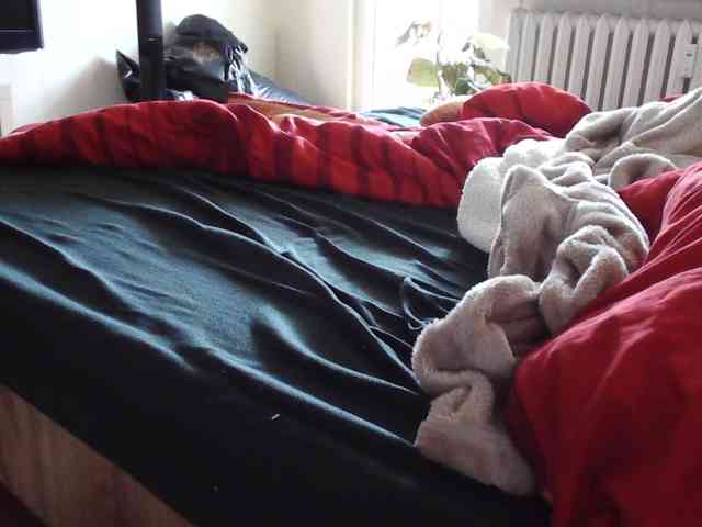 LilyLuxeXO