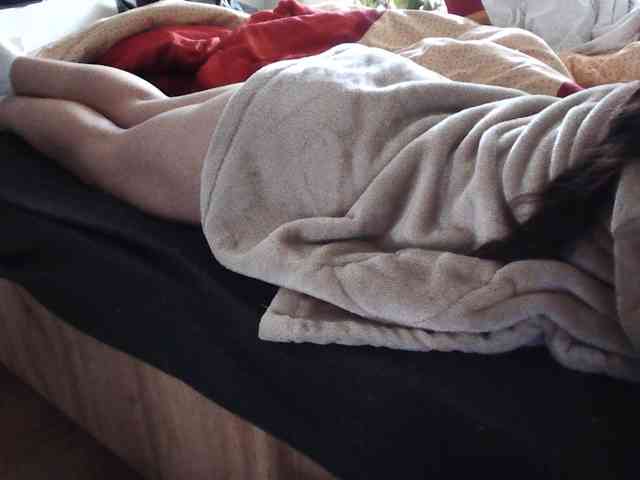 LilyLuxeXO