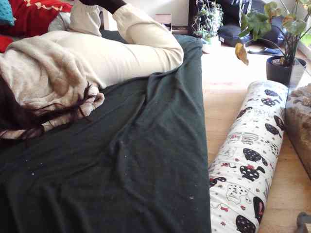 LilyLuxeXO